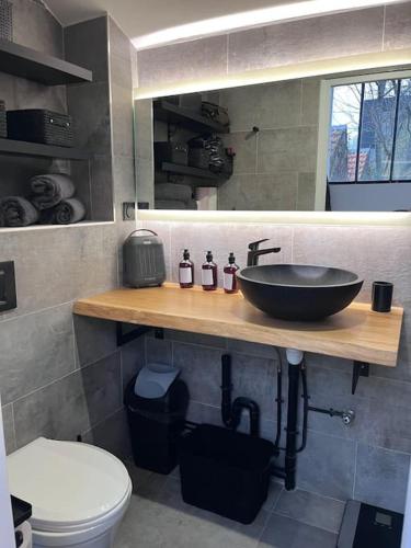 ein Bad mit einem Waschbecken und einem WC in der Unterkunft Loft chic climatisé proche château de Vincennes in Montreuil