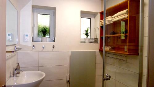 a bathroom with a sink and a toilet and two windows at Landleben in Fritzlar
