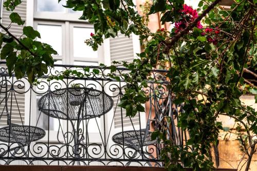 Zahrada ubytování Porto Vecchio