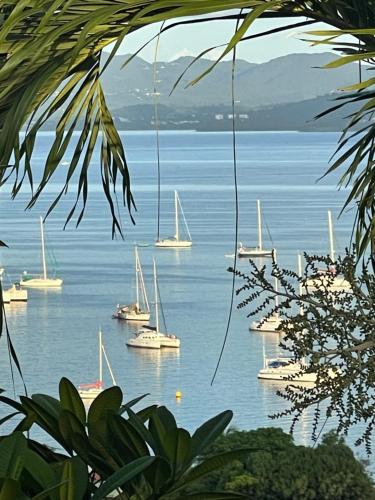 a group of boats sitting in the water at TIANOLI lodge grand confort avec vue magnifique in Sainte-Anne