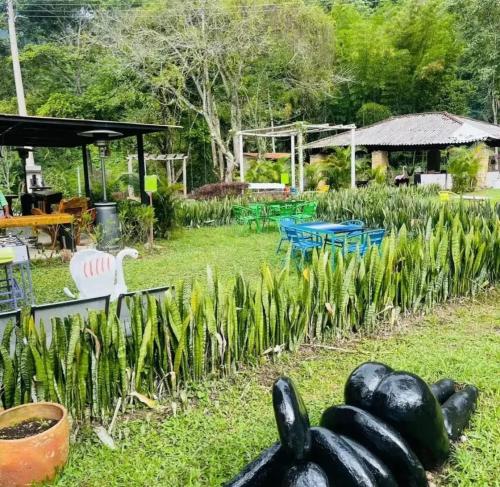Gallery image of Hotel TIERRA NUEVA Campestre in La Vega