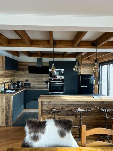 un chien assis sur une table dans une cuisine dans l'établissement Grand Appartement duplex à louer Font-Romeu hypercentre, à Font-Romeu-Odeillo-Via