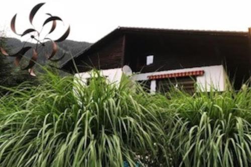 a house with a lot of plants in front of it at Landhaus Tamberg zur Alleinnutzung in Hinterstoder