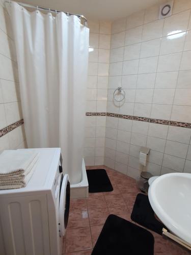 La salle de bains est pourvue d'un rideau de douche blanc et de toilettes. dans l'établissement Apartement Weingarten, à Weingarten