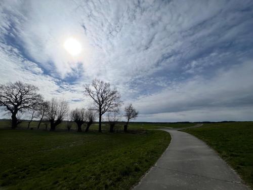 a path in a field with trees and a cloudy sky at Privates Zimmer im Herzen von Hitzacker in Dötzingen