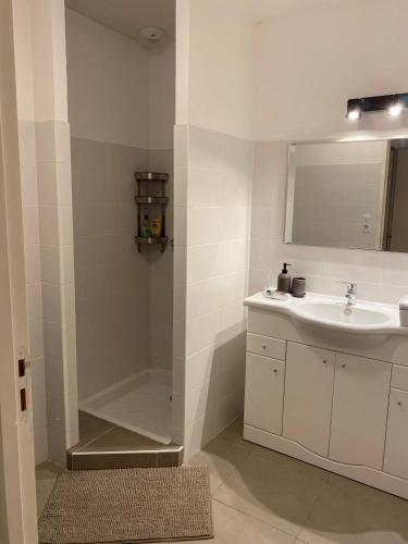 une salle de bain avec un lavabo et une douche dans l'établissement Porto vecchio Résidence Don Andria T2, à Lecci