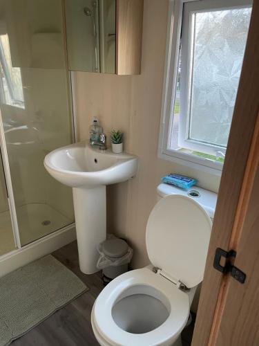 a small bathroom with a toilet and a sink at Rockley Park- Turlin Valley 36 in Lytchett Minster