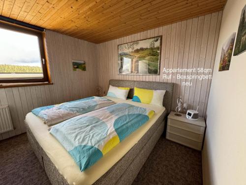 1 dormitorio con 1 cama en una habitación con ventana en 3- 2-1 - Raum - Ferienappartements Dieter Hoffmann Freudenstadt-Kniebis beim Nationalpark, en Freudenstadt