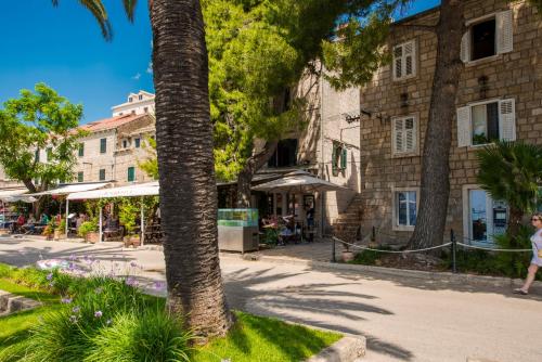a street with a palm tree and a building at Classique Cavtat Apartment in Cavtat