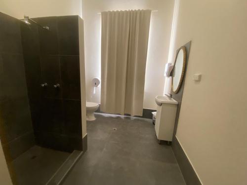 W łazience znajduje się toaleta, umywalka i lustro. w obiekcie Junee Hotel w mieście Junee