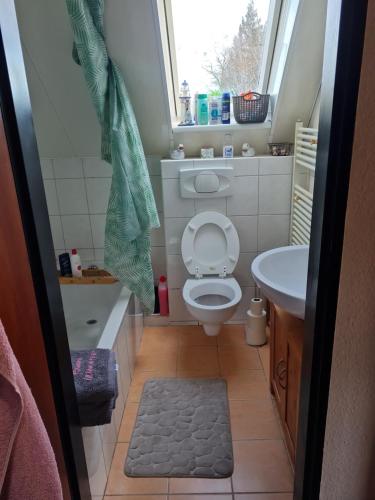 a small bathroom with a toilet and a sink at Ferienwohnung Bluhm Wahlstedt 