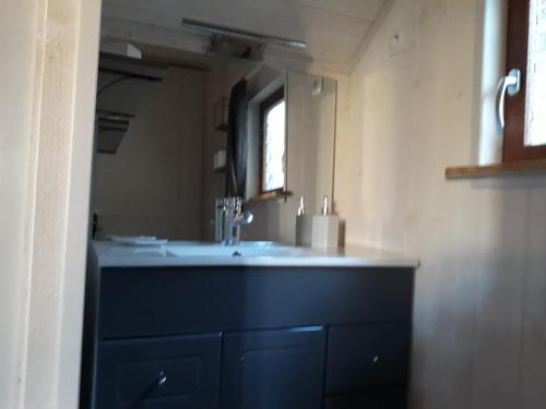 ein Bad mit einem Waschbecken und einem Spiegel in der Unterkunft Le petit chalet jurassien in Jouhe