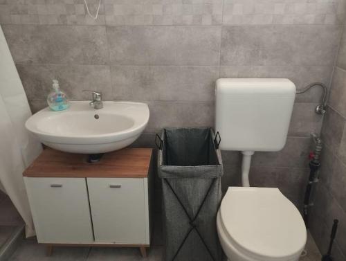 uma casa de banho com um WC branco e um lavatório. em Ibolya Apartman Debrecen kertvárosàban em Debrecen