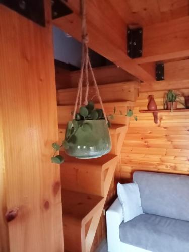 Φωτογραφία από το άλμπουμ του Casa Lia σε Cascine