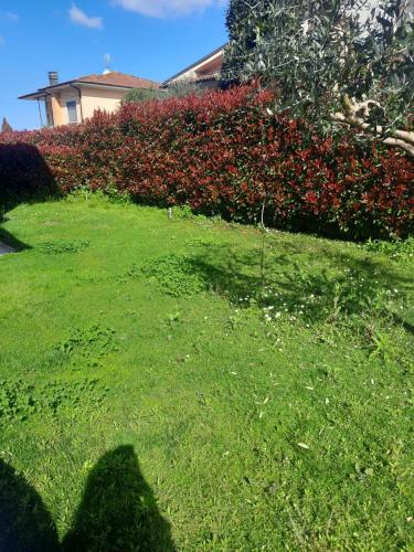 une ombre d'une personne debout dans l'herbe dans l'établissement Villa Anna, à Massarosa