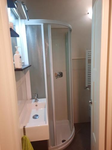 La salle de bains est pourvue d'une douche et d'un lavabo. dans l'établissement Villa Anna, à Massarosa