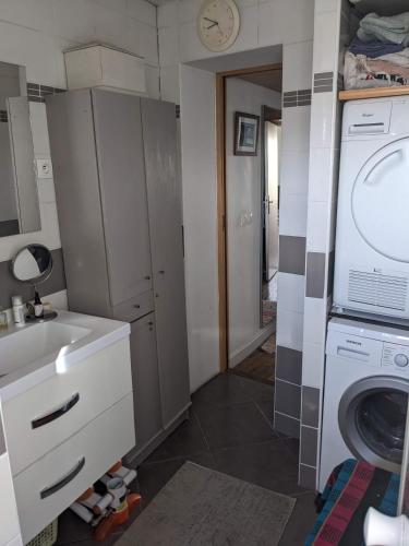 une salle de bain avec un lavabo et une machine à laver dans l'établissement Boucicaut FAR, à Fontenay-aux-Roses