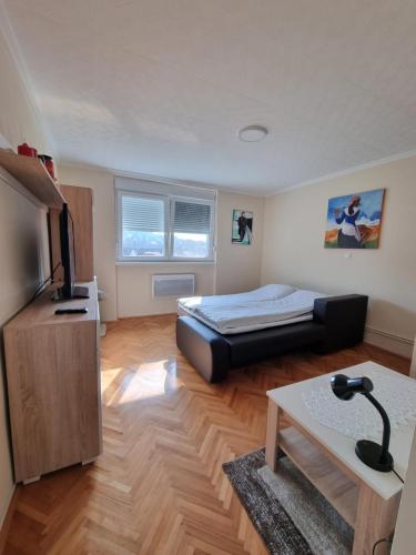 a bedroom with a bed and a table in a room at Apartman Ćurčić in Vrdnik