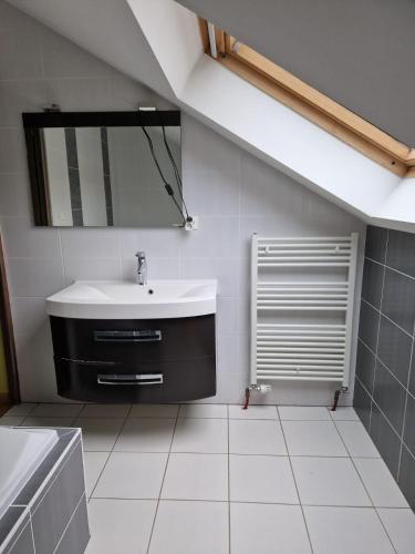 une salle de bain avec un lavabo et un miroir dans l'établissement Appartement à l étage d une maison en pleine campagne, à Métairies-Saint-Quirin