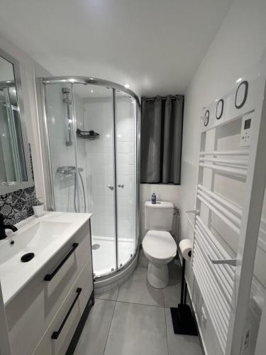 une salle de bain avec une douche, des toilettes et un lavabo dans l'établissement L’escale proche paris, à Maisons-Alfort
