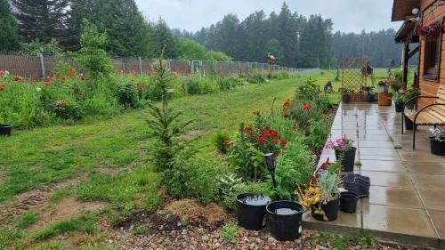 Taman di luar Agrosturystyka Leśna 21