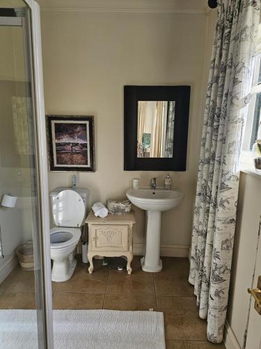 The Rose Room في هيلتون: حمام مع مرحاض ومغسلة