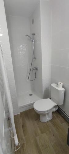 une salle de bain blanche avec douche et toilettes dans l'établissement Studio climatisé avec parking et wifi au Couchant, à La Grande Motte