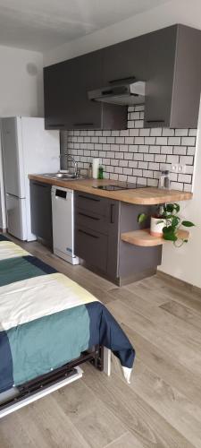 une cuisine avec un évier et un plan de travail dans l'établissement Studio climatisé avec parking et wifi au Couchant, à La Grande Motte