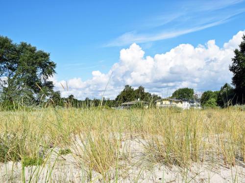 a field of tall grass with houses in the background at Strandhaus Goehren in Göhren