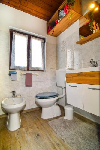 a bathroom with a toilet and a sink at Nel blu dipinto di blu in Malesco