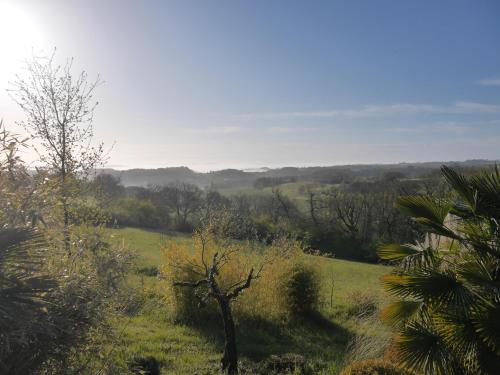 a green field with a tree in the middle at La villa du Moulin Castin in Castin