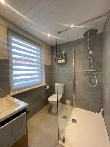 La salle de bains est pourvue d'une douche, de toilettes et d'un lavabo. dans l'établissement « À deux pas de la petite Venise », à Colmar