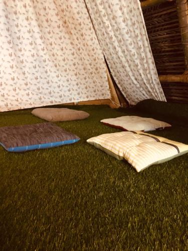 - un groupe d'oreillers assis sur l'herbe à côté d'un rideau dans l'établissement Bamboohutz, à Auroville