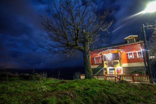 a house with a tree in front of it at night at Colours' Chalet in Synikia Mesi Trikalon