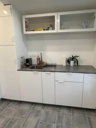 une cuisine avec des armoires blanches et un évier dans l'établissement Trois Lilas ligne C, à Villeneuve-le-Roi