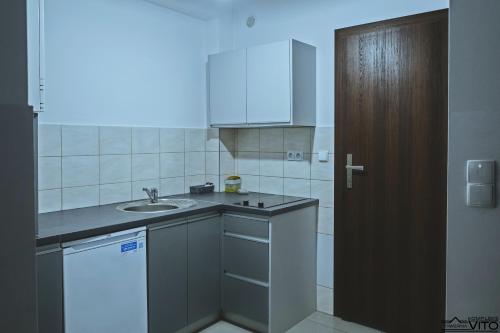a small kitchen with a sink and a counter at Kompleks Tawerna Vito - Apartamenty Vito in Czorsztyn