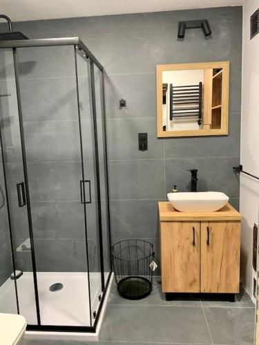 a bathroom with a shower and a sink at Zielone Drzwi in Życiny