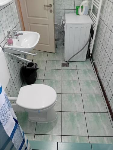 La salle de bains est pourvue de toilettes et d'un lavabo. dans l'établissement Grande, à Mediaş