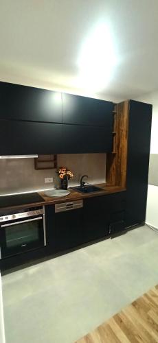a kitchen with a sink and a stove at Lux apartment 13 center, free parking in Niš