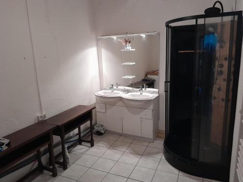 ein Bad mit einer Dusche, einem Waschbecken und einem WC in der Unterkunft hOMe-Shanti Galamus in Saint-Paul-de-Fenouillet