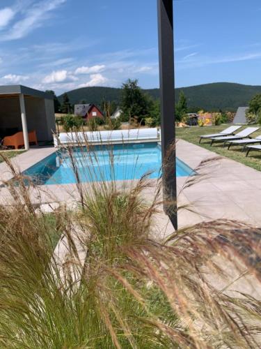 a view of a swimming pool with tall grass at Gîte "Villa Belle Vie" in Labaroche