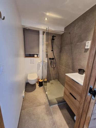une salle de bain avec une douche, des toilettes et un lavabo dans l'établissement Appartement , 6 personnes, centre-ville, plage à pied, à Saint-Jean-de-Luz