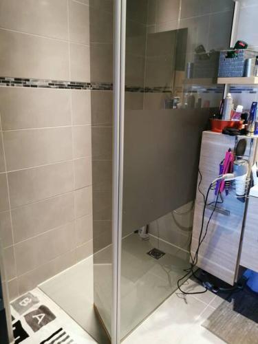 une douche avec une porte vitrée dans une salle de bain dans l'établissement Appartement calme proche du centre, à Annecy