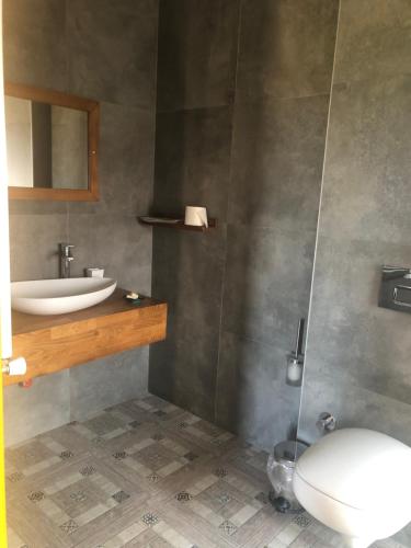 y baño con aseo y lavamanos. en Pırnal Köy Evi, en Ayvacık
