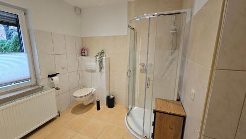 a bathroom with a shower and a toilet and a sink at FeelGood Ferienwohnung in Schweina