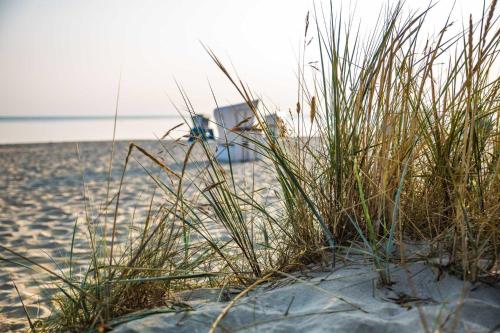 a patch of grass on a beach with a boat in the background at Tiny House am Meer in Heringsdorf