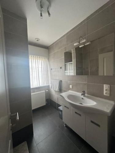 een badkamer met een wastafel en een spiegel bij THE 11 gîte pour vacances ou travail in Comines