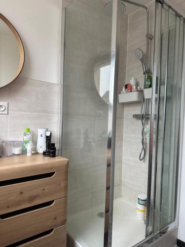 une douche avec une porte vitrée dans une salle de bain dans l'établissement Appartement 40m2 Caen, à Caen