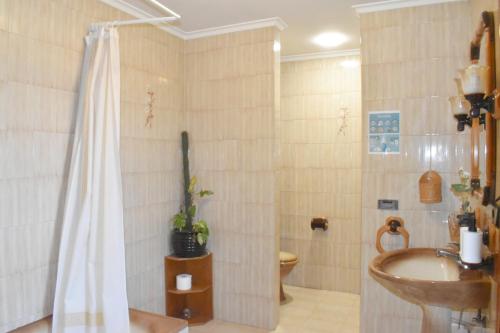 a bathroom with a shower and a sink and a toilet at Casa Gilgar Olite in Olite