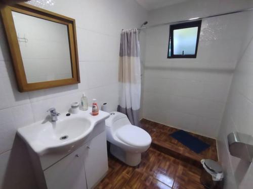 La salle de bains est pourvue d'un lavabo, de toilettes et d'un miroir. dans l'établissement Chalet Valdivia, à Valdivia